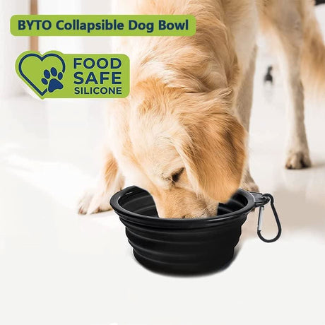 Golden retriever dog drinking from black BYTO collapsible dog bowl made of food safe silicone