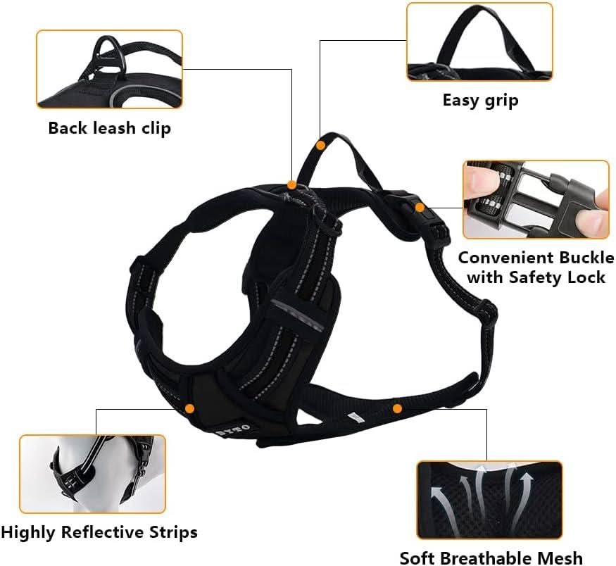 No pull dog harness set from CLICKK Home Store with back leash clip, easy grip, safety lock buckle, reflective strips, and breathable mesh