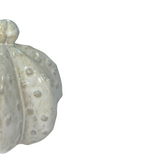 Stoneware Cactus Decor Handcrafted Ceramic Succulent Accent