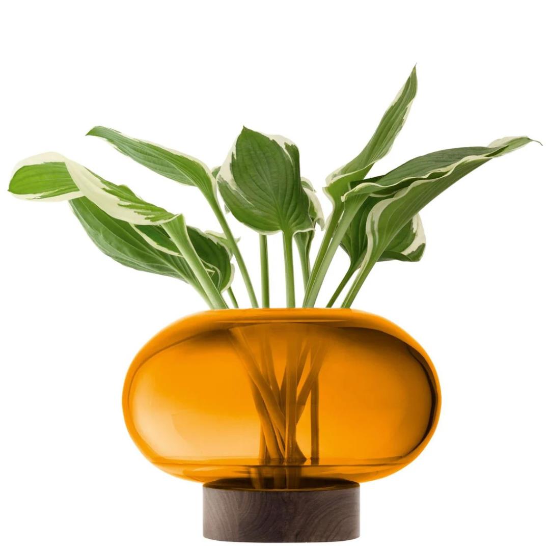 LSA Oblate Glass Vase Lantern 19.5cm with Walnut Base Amber