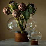 LSA Oblate Glass Vase Lantern 28cm with Walnut Base Clear