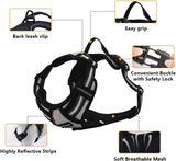 BYTO No Pull Dog Harness Set Reflective Strips 5ft Dog Lead Large Black