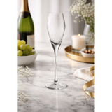 Champagne Flutes with Elegant Bubble Detail Design Set of 6 Clear