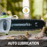 Greenworks 40V 20cm Pole Bar including Battery and Charger Green