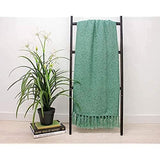 Green loose weave throw blanket with fringe detail hanging on black ladder next to potted plant