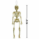 Fancy Dress 670652 Hanging Plastic Skeleton 15 1/2" Halloween Party Wall Decoration