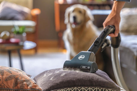 CLICKK Home Store pet vacuum cleaner removing pet hair from a cushion with a dog in the background