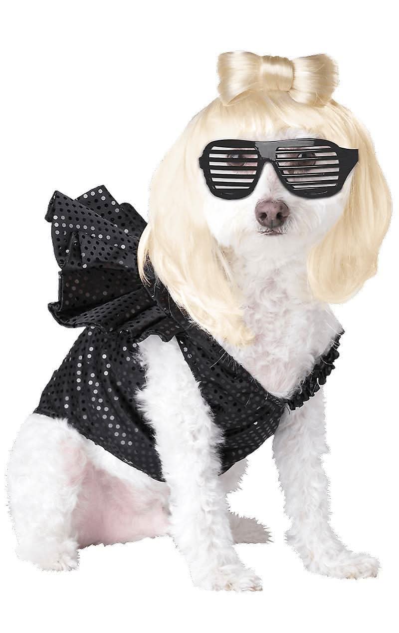 White dog wearing Lady Dogga costume XS with blonde wig, bow, black sunglasses, and sequined black dress