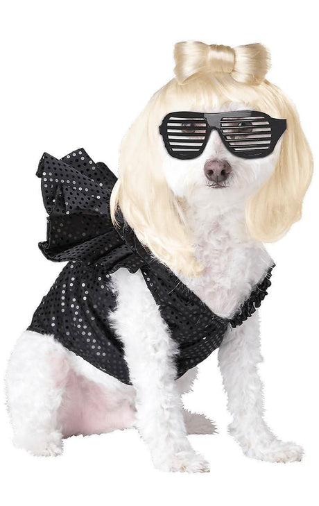 White dog wearing Lady Dogga costume XS with blonde wig, bow, black sunglasses, and sequined black dress